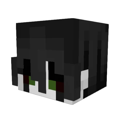 RealNooBalert Minecraft avatar head, 3D render