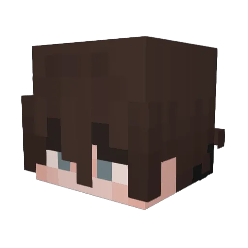 RealPG125 Minecraft avatar head, 3D render