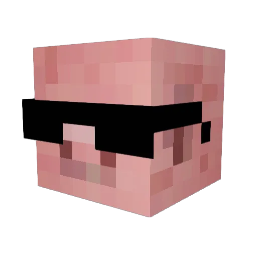 RealPaulRyan Minecraft avatar head, 3D render