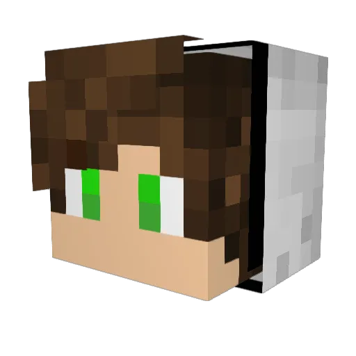 RealRex2008 Minecraft avatar head, 3D render