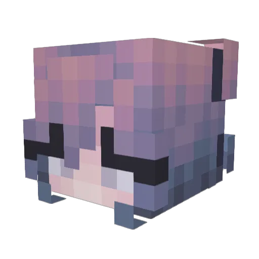 RealShyFire Minecraft avatar head, 3D render