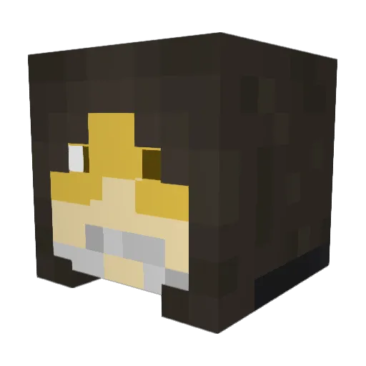 RealSweetBabyBoy Minecraft avatar head, 3D render