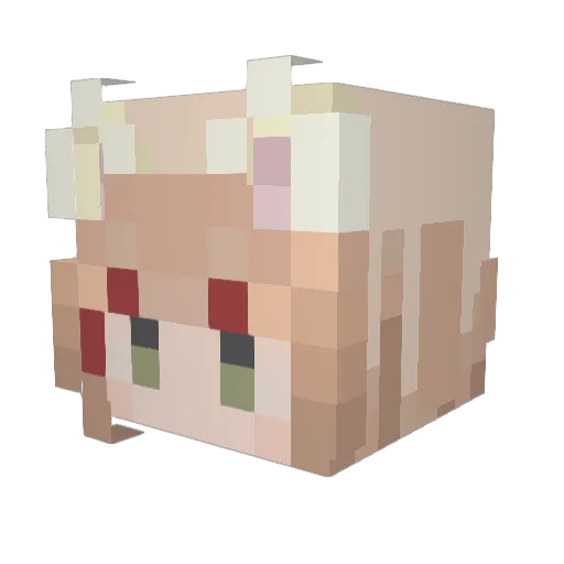 RealTedlaQuack Minecraft avatar head, 3D render