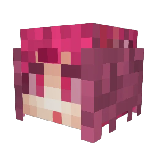 RealTursuu Minecraft avatar head, 3D render