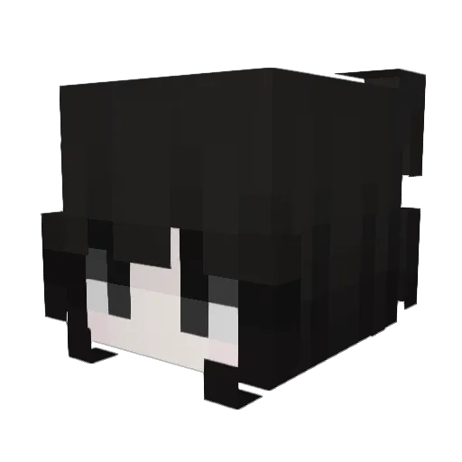 Real_Ace06 Minecraft avatar head, 3D render