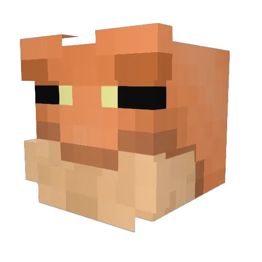 Real_Bixo Minecraft avatar head, 3D render