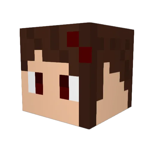 Real_Penguin_ Minecraft avatar head, 3D render