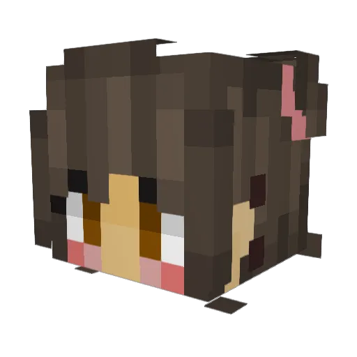 Real_Speedrunner Minecraft avatar head, 3D render