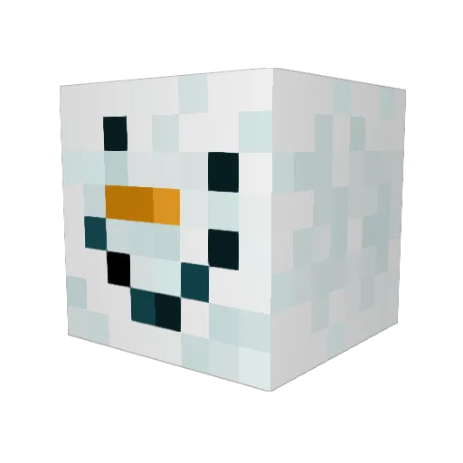 Real_Swagster Minecraft avatar head, 3D render