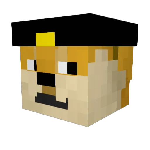 Real_doge233 Minecraft avatar head, 3D render