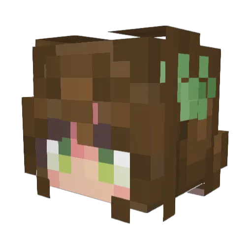 Realch1ch1 Minecraft avatar head, 3D render