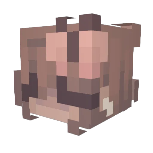 RealityOP Minecraft avatar head, 3D render