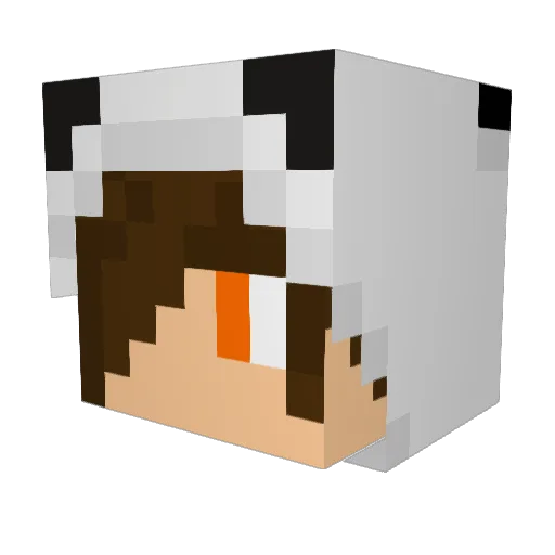 Reallionaire Minecraft avatar head, 3D render