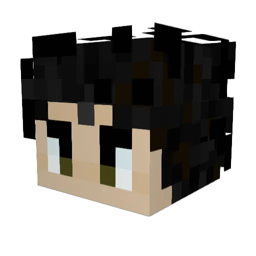 ReallyAwesomeOne Minecraft avatar head, 3D render