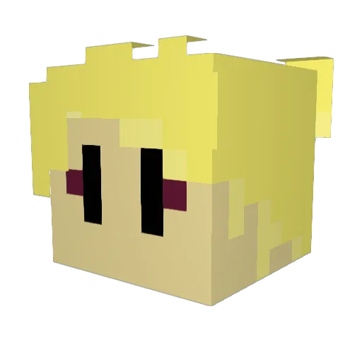 ReallyRandomBoi Minecraft avatar head, 3D render