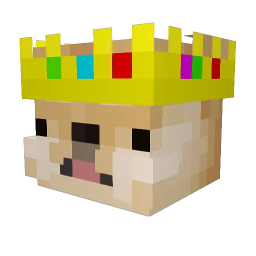 ReallySleepy_Sam Minecraft avatar head, 3D render