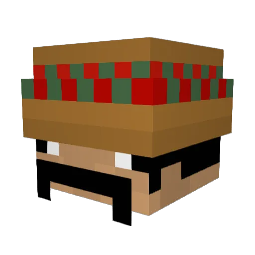 ReallyWeirdName6 Minecraft avatar head, 3D render