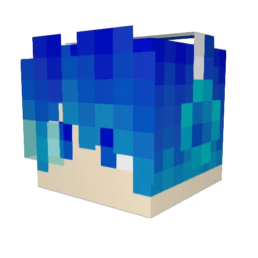 Really_fish Minecraft avatar head, 3D render