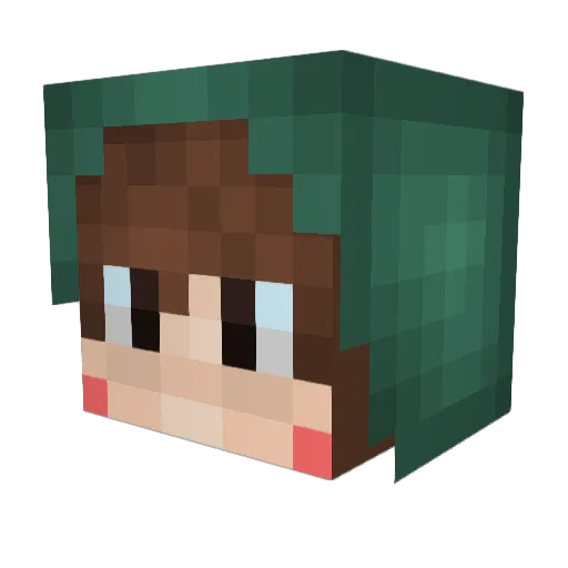 Reallyrics520 Minecraft avatar head, 3D render