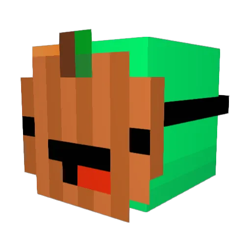 Realplayz666 Minecraft avatar head, 3D render
