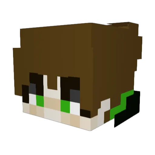 Realslimeshady Minecraft avatar head, 3D render