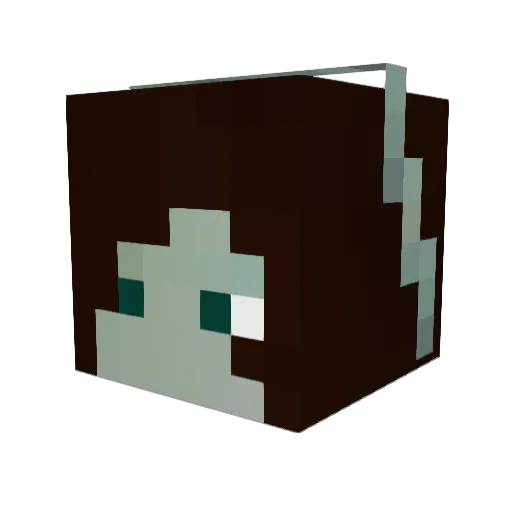 Reanimator17 Minecraft avatar head, 3D render