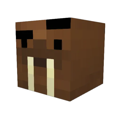 Reapeee Minecraft avatar head, 3D render