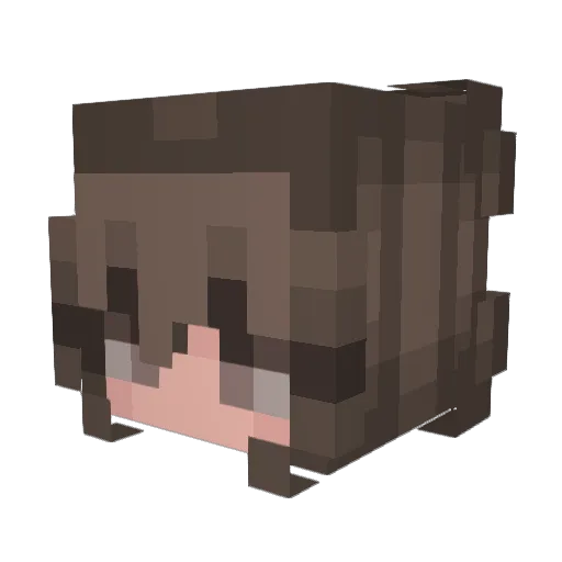 Reaper07XD Minecraft avatar head, 3D render