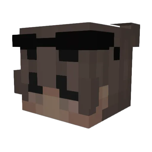 Reaper13413414 Minecraft avatar head, 3D render