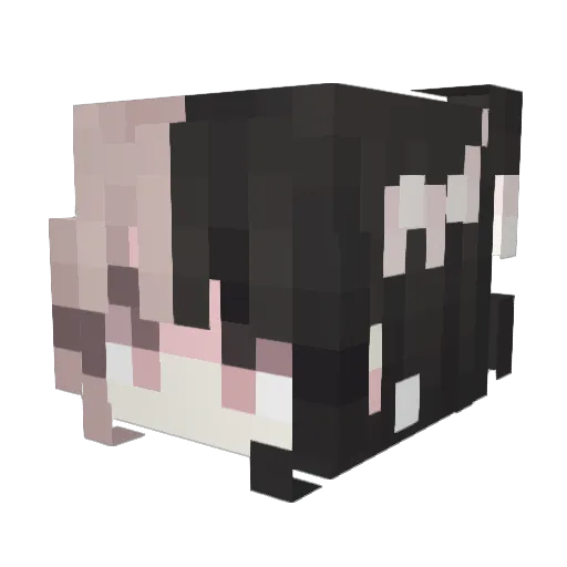 Reaper220875 Minecraft avatar head, 3D render