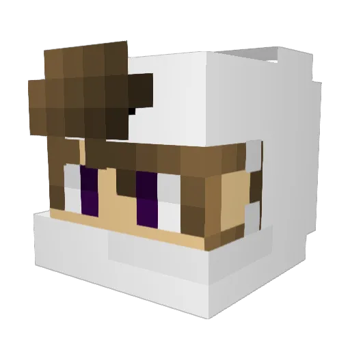 ReaperOfSouls98 Minecraft avatar head, 3D render