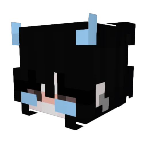 ReaperWasHere Minecraft avatar head, 3D render