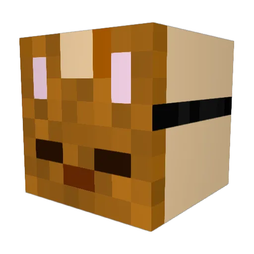 Reaper_Rabbit88 Minecraft avatar head, 3D render