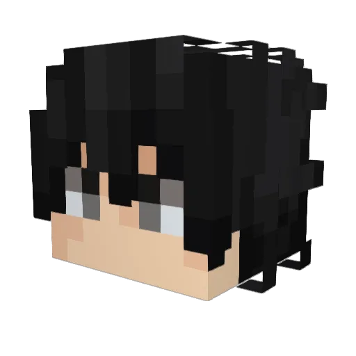 Reaper_T111 Minecraft avatar head, 3D render