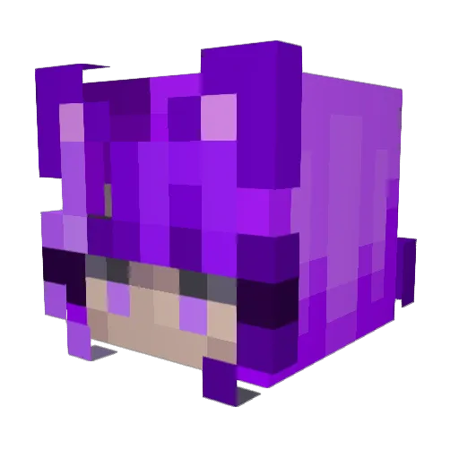 Reapercat001 Minecraft avatar head, 3D render