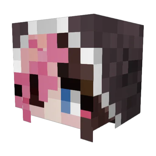 Reapercoser Minecraft avatar head, 3D render