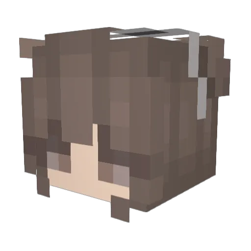ReapersAreRavens Minecraft avatar head, 3D render