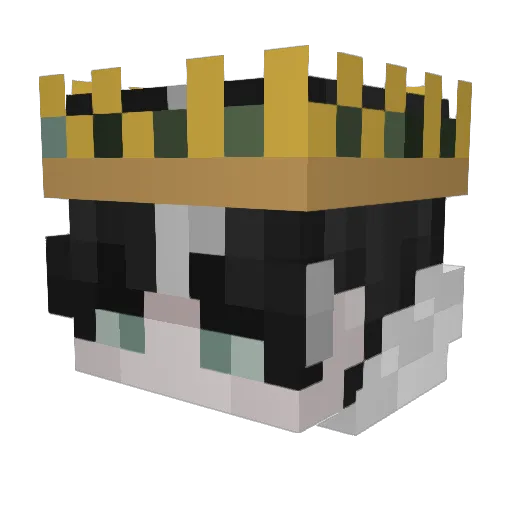 Reapertoires Minecraft avatar head, 3D render