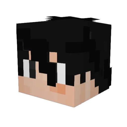 Reapz143 Minecraft avatar head, 3D render