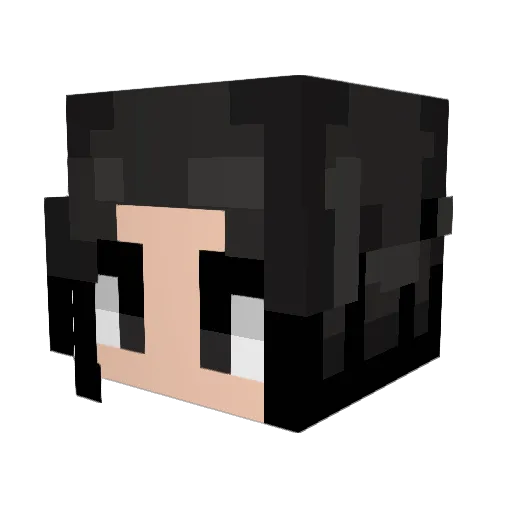 Reasonanrhyme Minecraft avatar head, 3D render