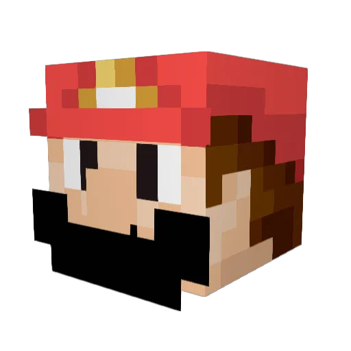 Reaveer Minecraft avatar head, 3D render