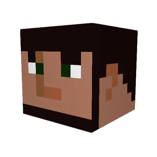 Reaver194 Minecraft avatar head, 3D render
