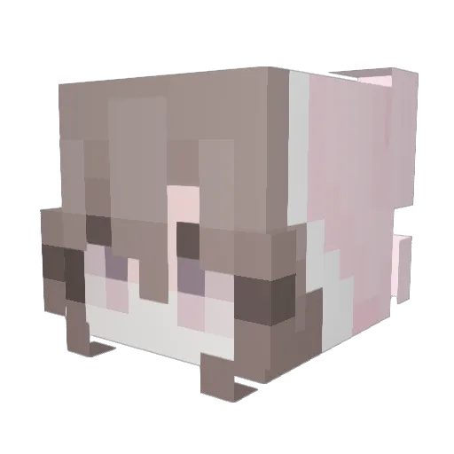 Reay666 Minecraft avatar head, 3D render