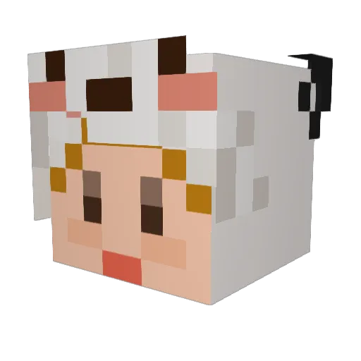 Reb_12 Minecraft avatar head, 3D render