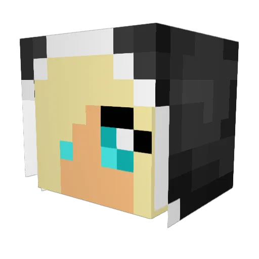 Reba0798 Minecraft avatar head, 3D render