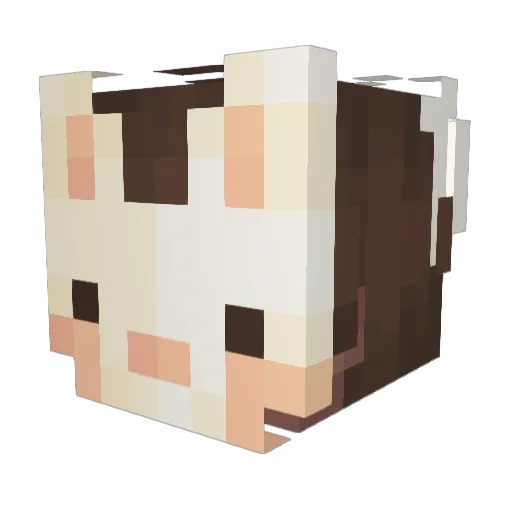 Rebbit_Lauch Minecraft avatar head, 3D render