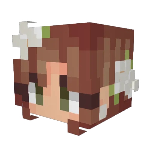 Rebe48 Minecraft avatar head, 3D render