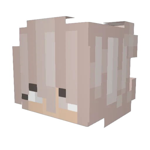 Rebecah Minecraft avatar head, 3D render