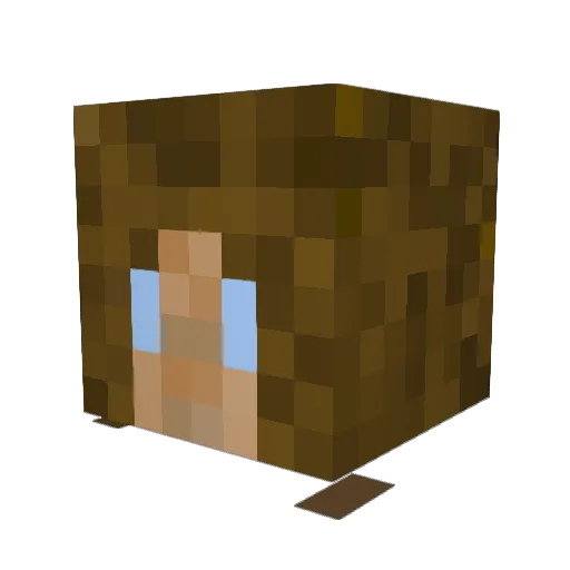 RebeccaChenal Minecraft avatar head, 3D render
