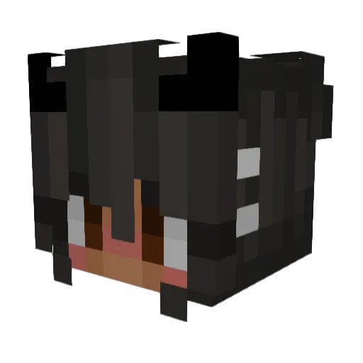 RebeccaTwoSocks Minecraft avatar head, 3D render